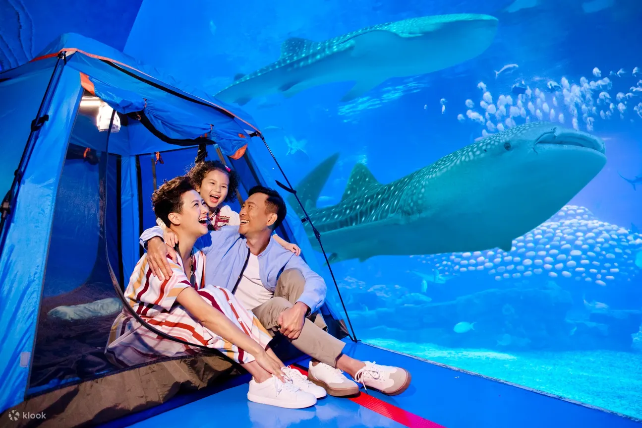 想知道海底生物的夜间生活吗？夜宿珠海海洋公园，让你一探究竟