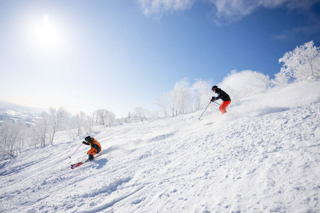 Cours de ski à Hakuba - deux personnes qui skient pour le plaisir
