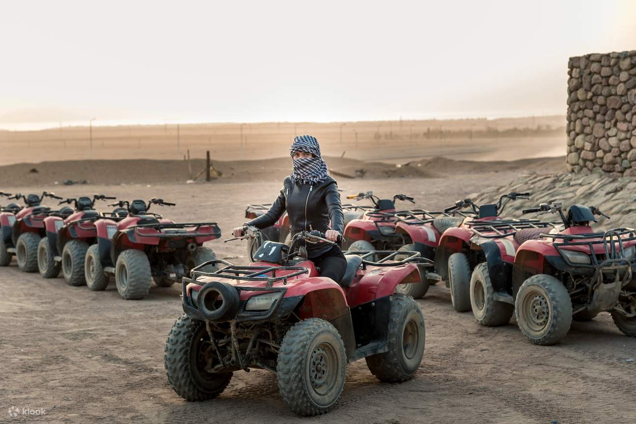 Quad buggy safari discount