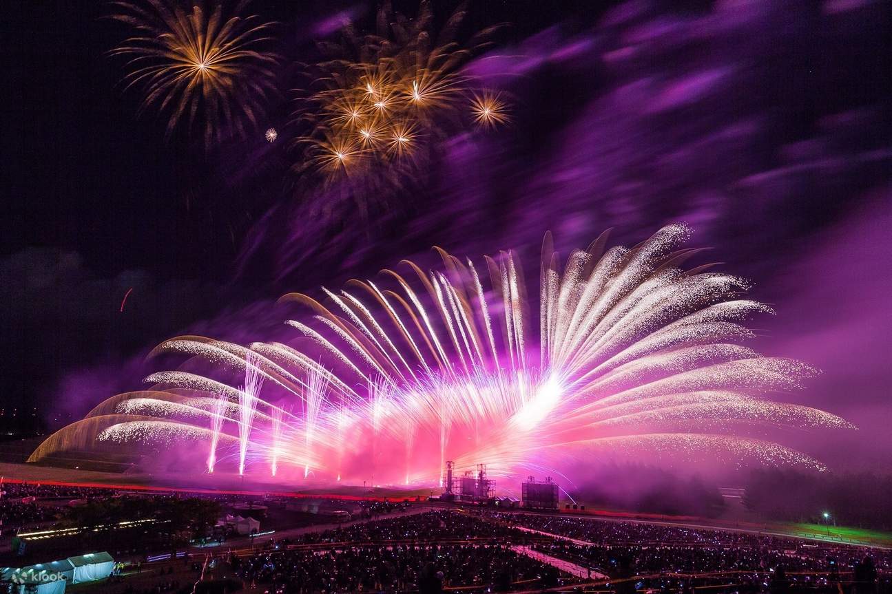 Feux d'artifice artistiques de Moerenuma à Sapporo