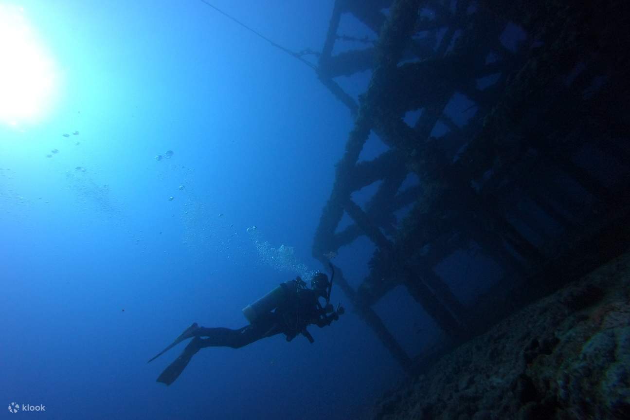 【綠島】藍莎潛水中心FUN DIVE 岸潛/夜潛旅遊潛水（需潛水執照）	