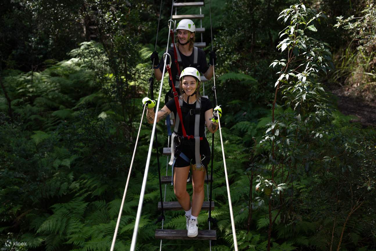 TreeTop Challenge am Mount Tamborine