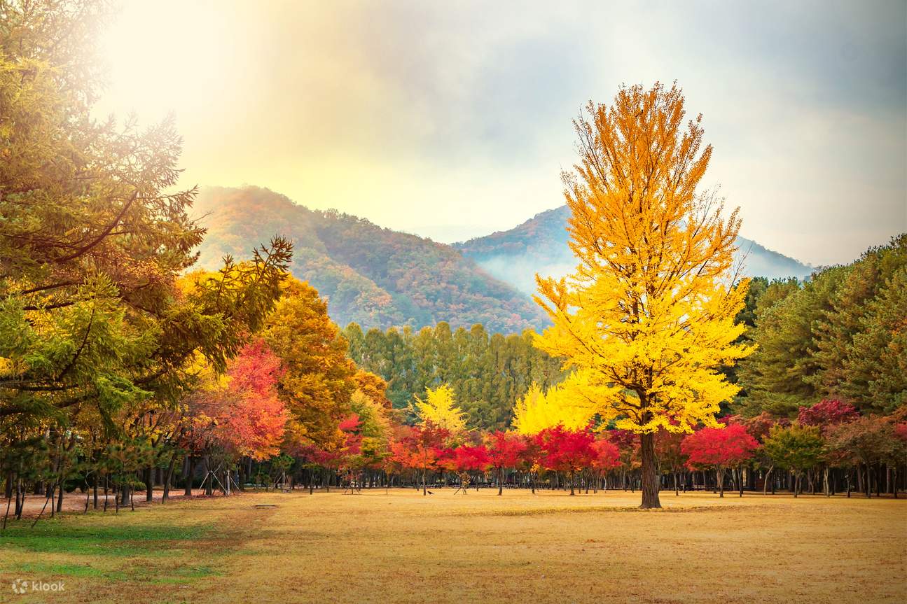 Gangwon-do Private Car Charter