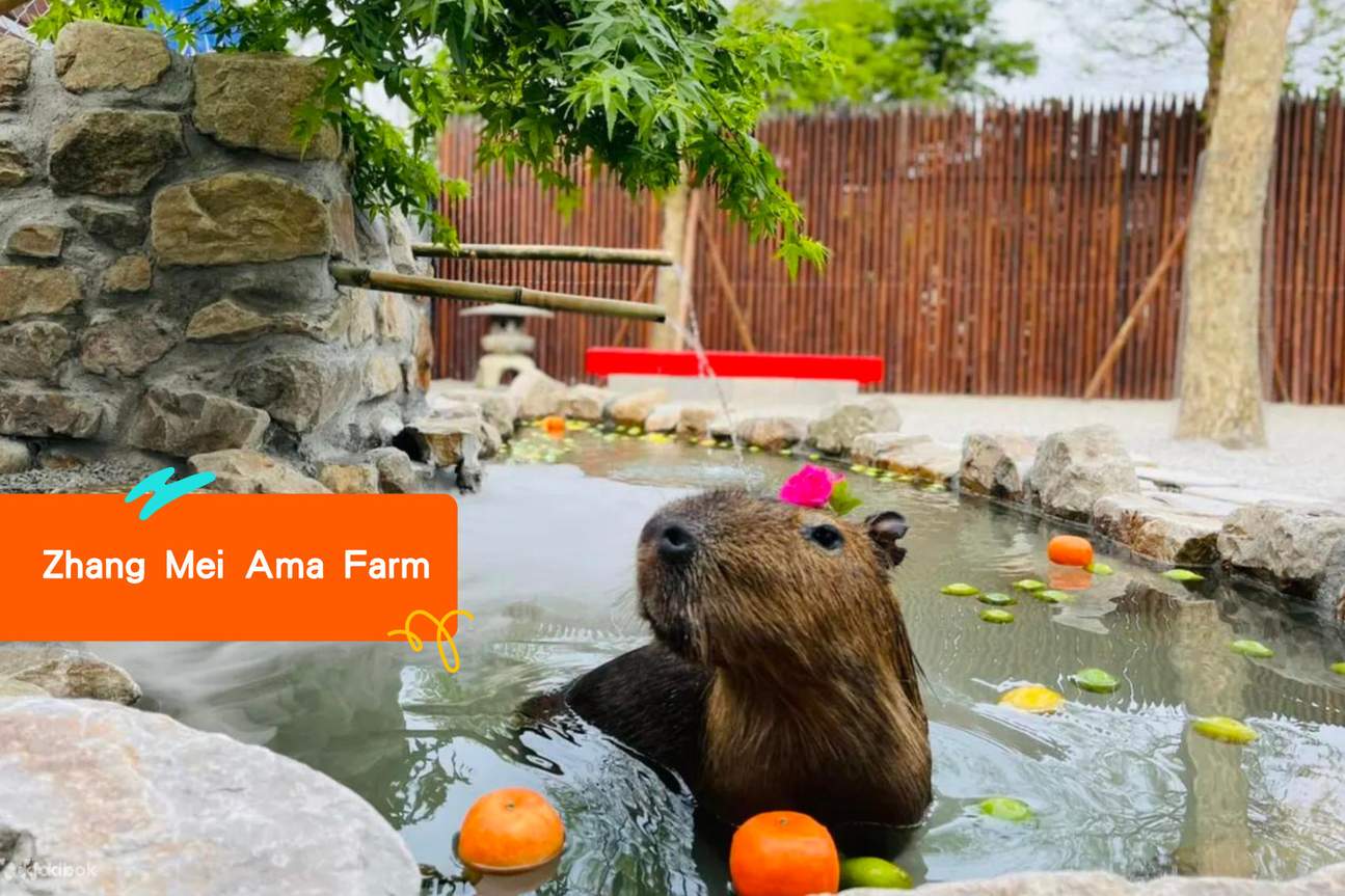 Klook Pass Yilan Fun Pass