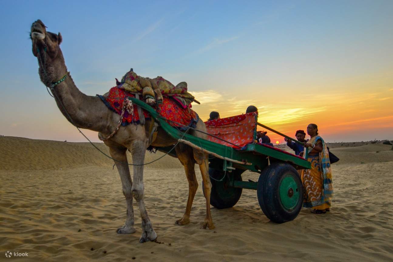 Jaisalmer Camel Day Safari Klook