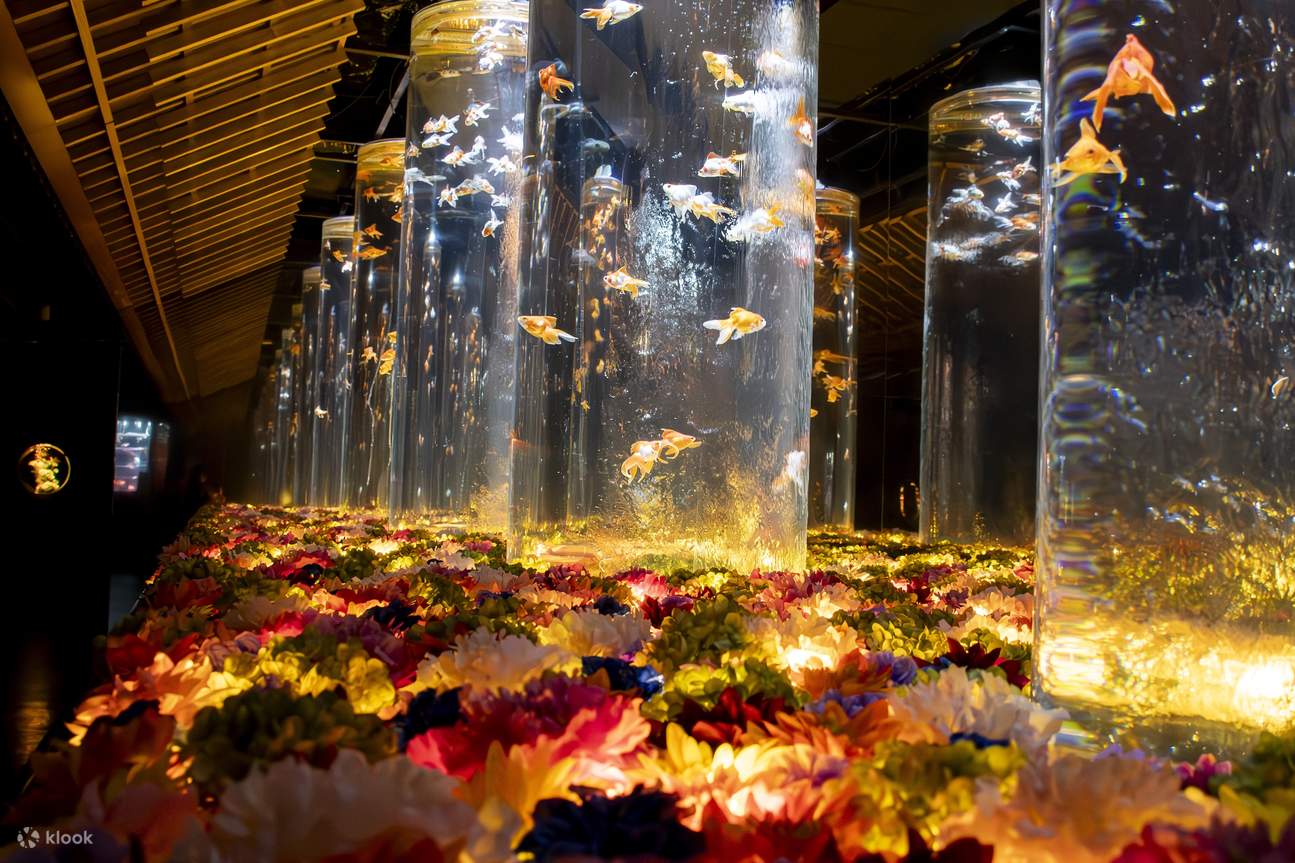 Entrada para el Museo Art Aquarium GINZA