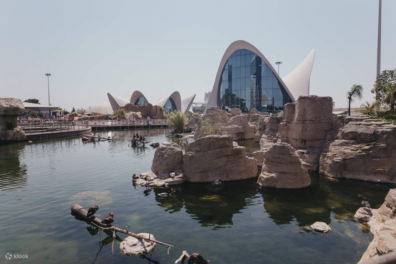 Oceanografic E Ticket in Valencia Klook