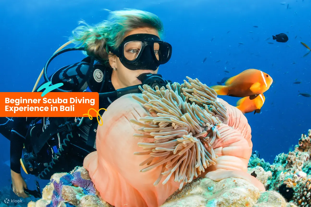 Beginner Scuba Diving