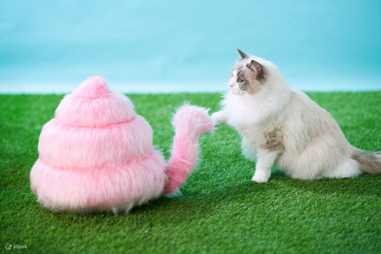 Музей Unko - Unko Animals