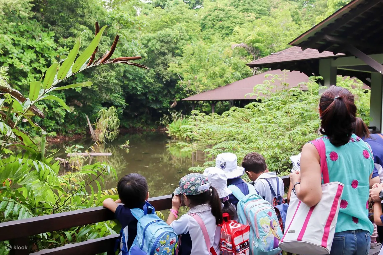 新加坡潮间带漫步