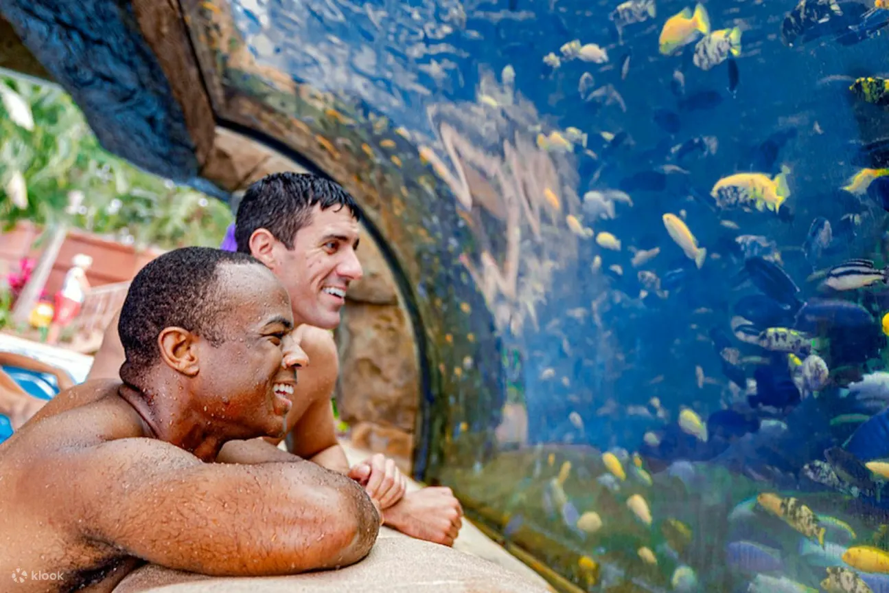欣赏水族馆的奇妙之处，近距离欣赏迷人的海洋生物