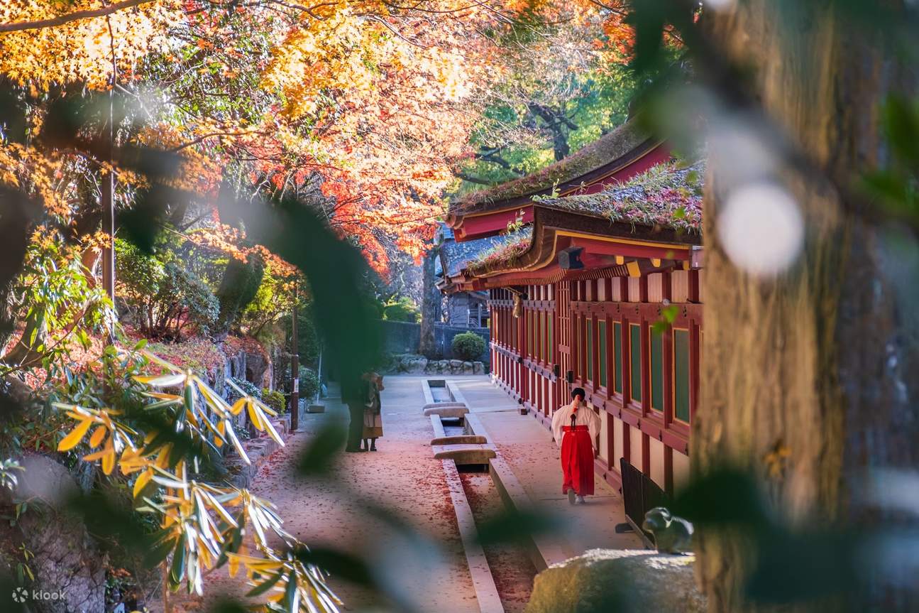 竈門神社と太宰府天満宮の紅葉1日ツアー | Klook