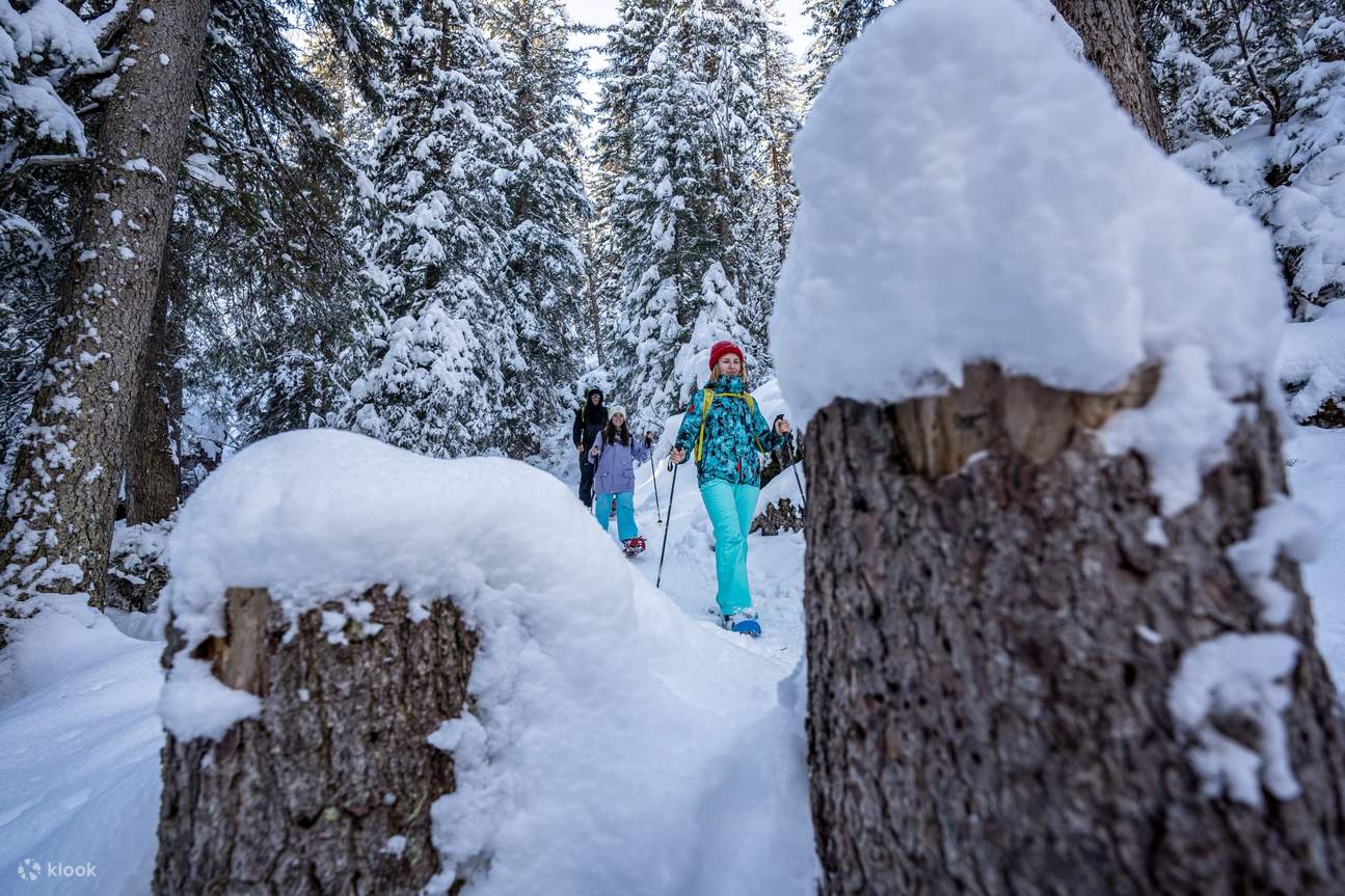 Tur Sepatu Salju Wetterhorn Grindelwald dari Interlaken