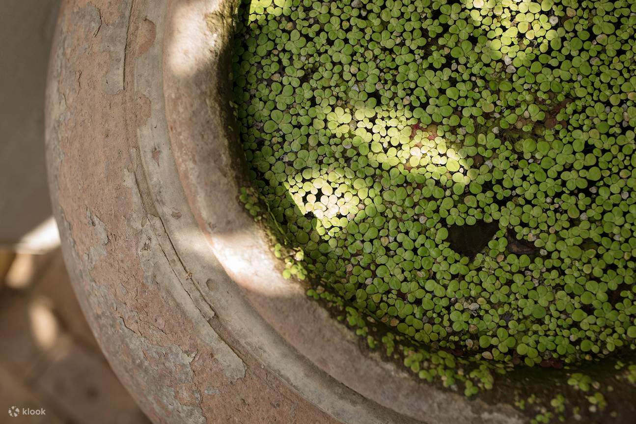 Fah Lanna Massage en el Bazar Nocturno en Chiang Mai