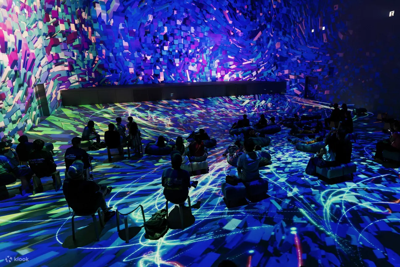 暮光之城：REXPERIENCE 的沉浸式旅程
