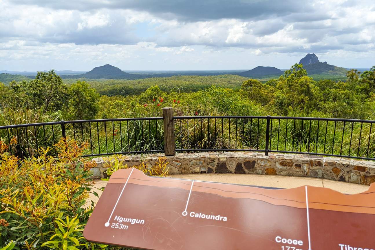 Noosa, Aussie Animals & Glass House Mountains from Brisbane Klook