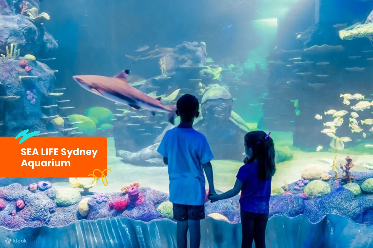 悉尼海洋生物水族馆 (SEA Life Sydney Aquarium)