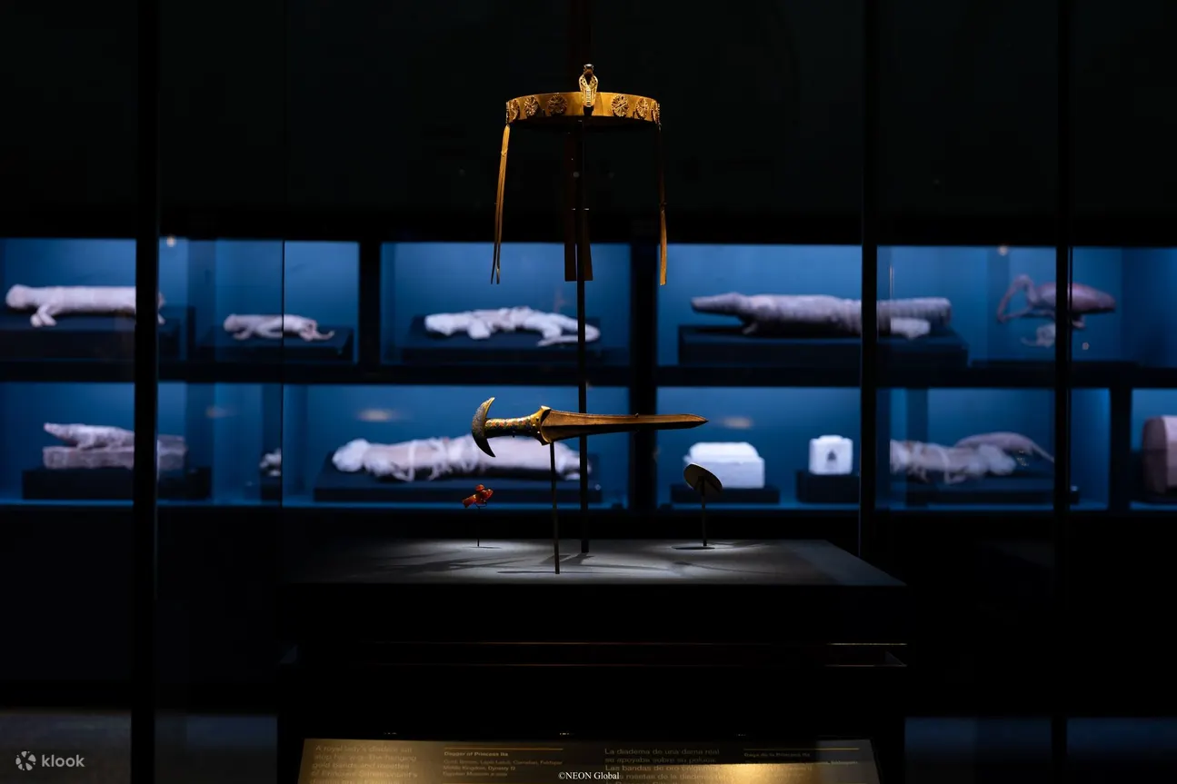 ACN Egyptian Antiquities Touring Exhibition 