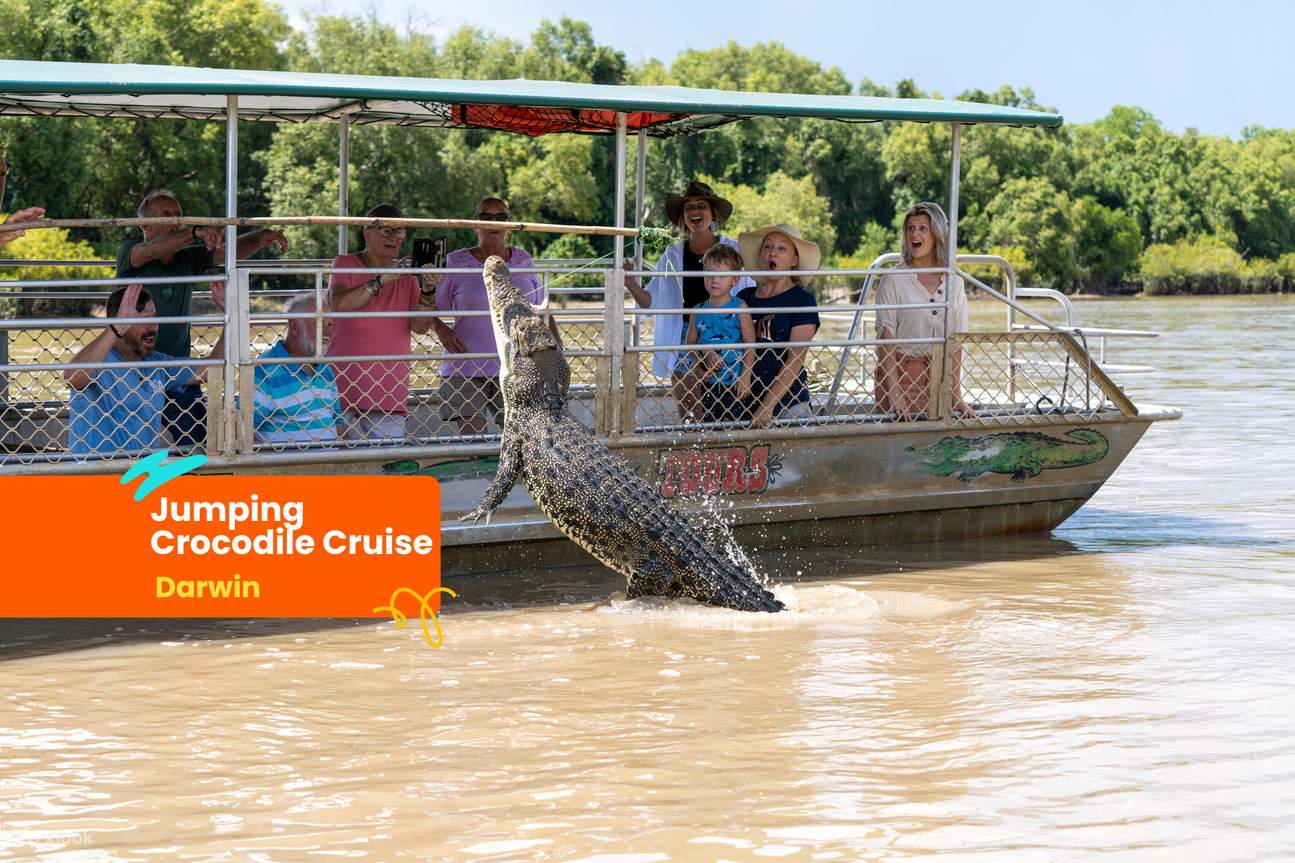 darwin jumping crocodiles cruise