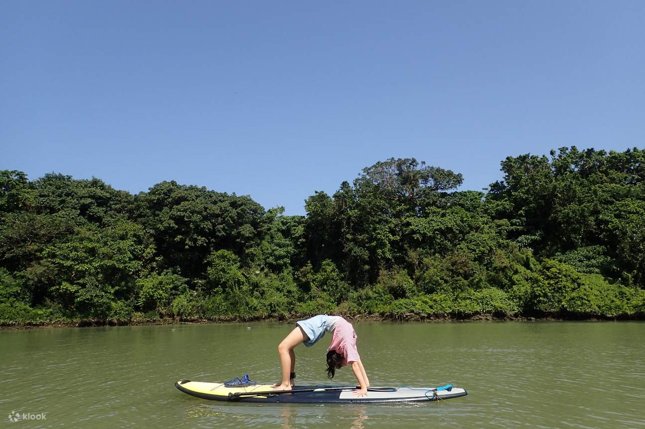 Chèo SUP Ngắm Rừng Ngập Mặn Tại Sông Hijya