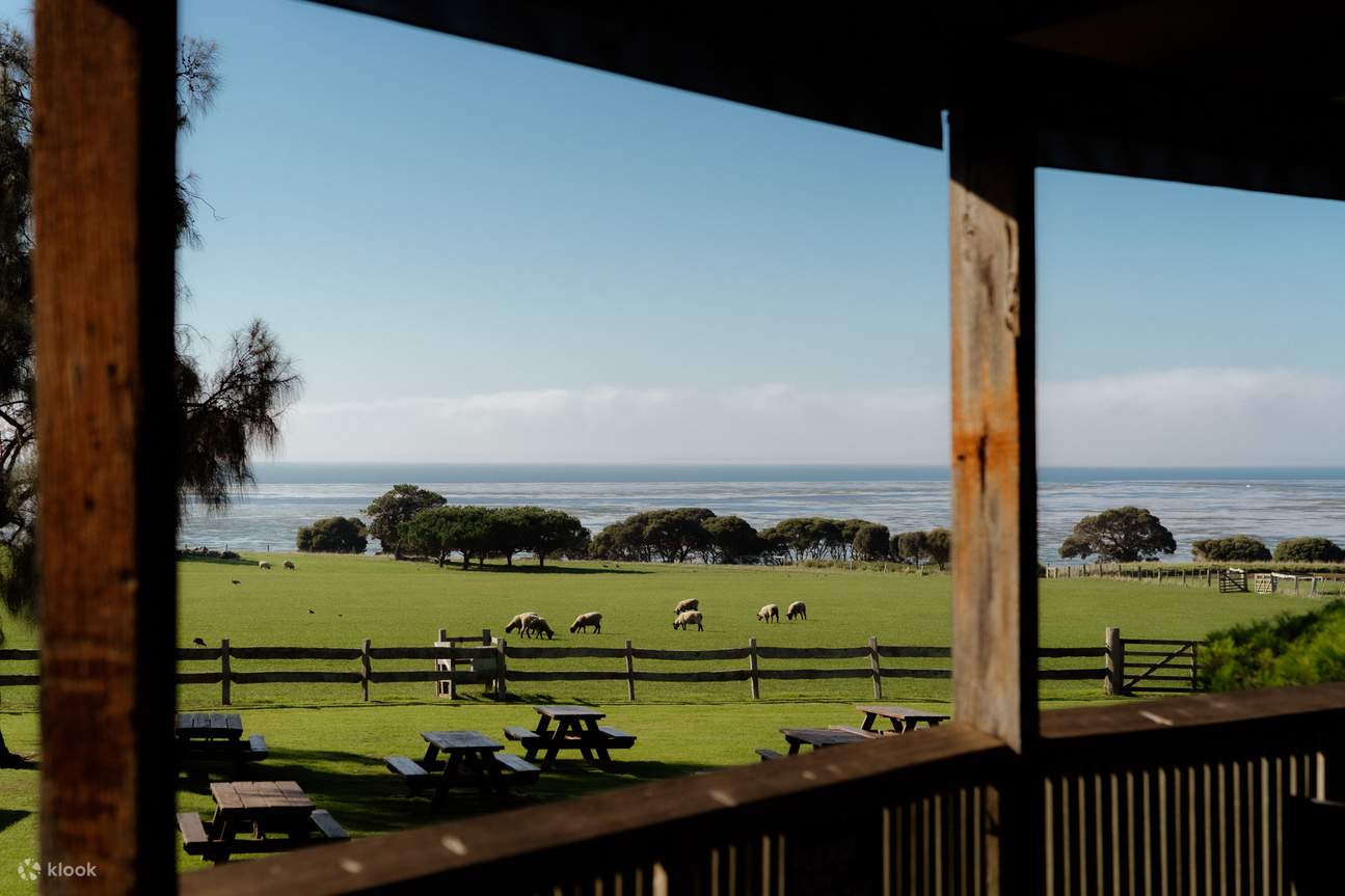 Vé Tham Quan Đảo Churchill ở Đảo Phillip