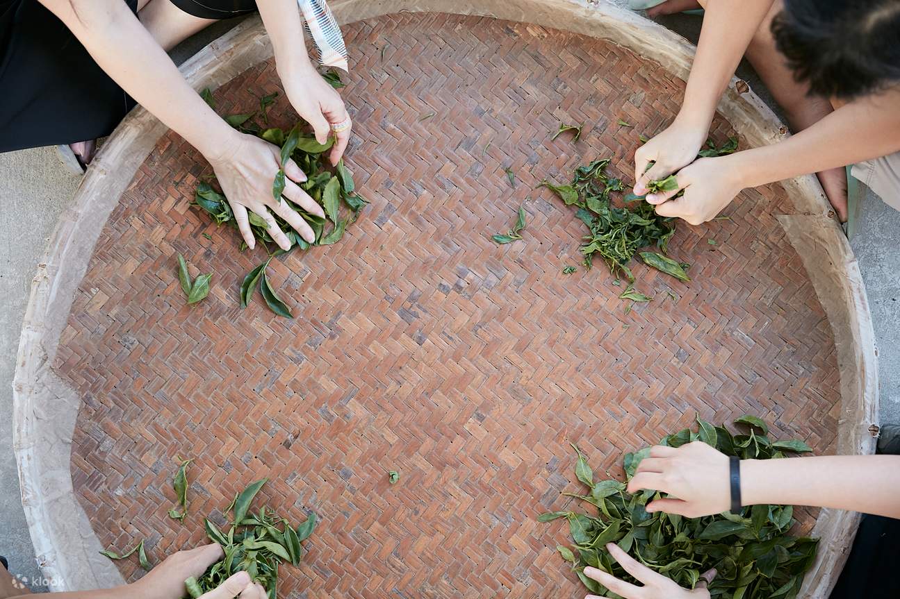 Pengalaman Membuat Teh Tradisional Taiwan