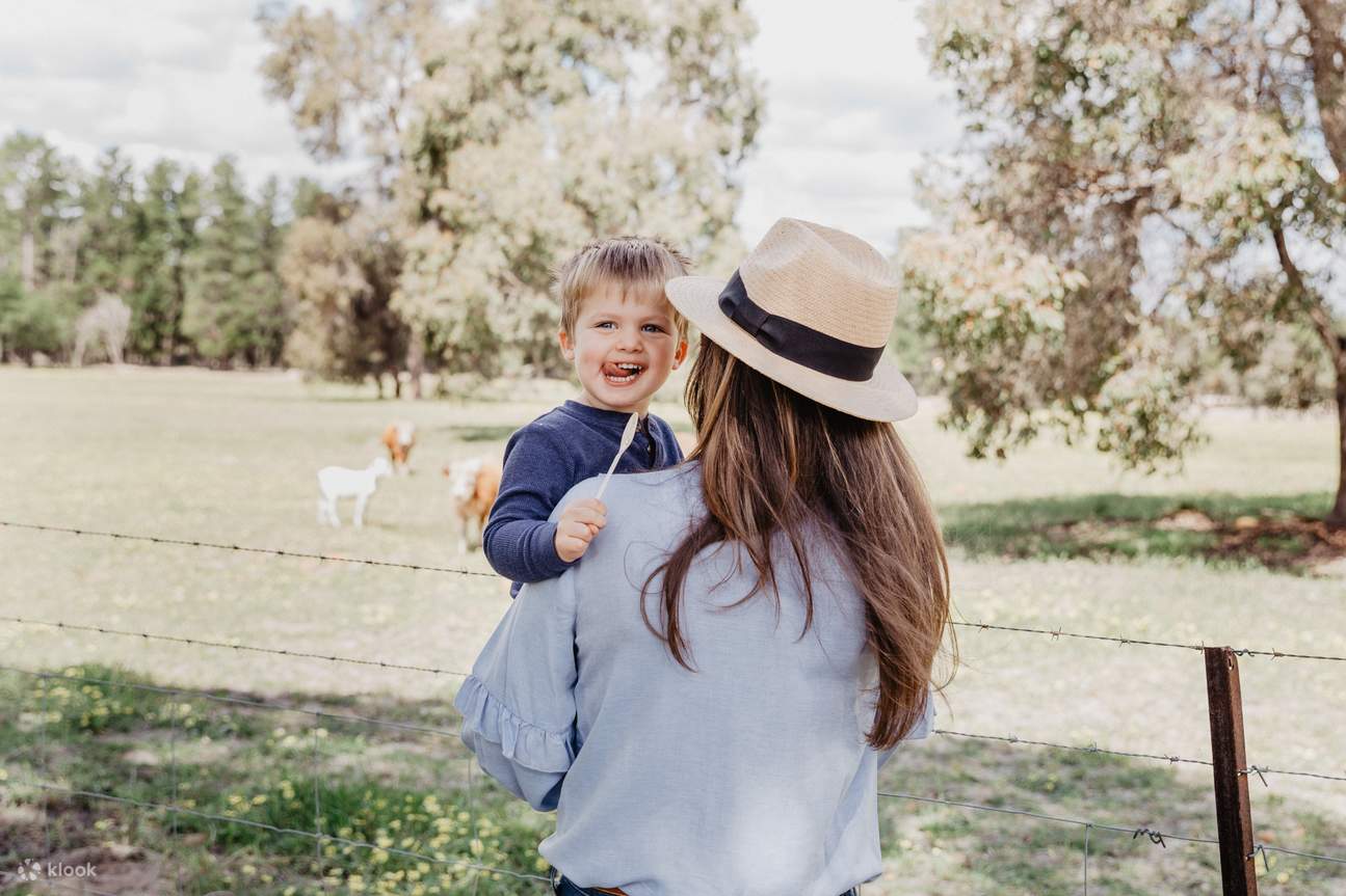 猎人谷要做的事