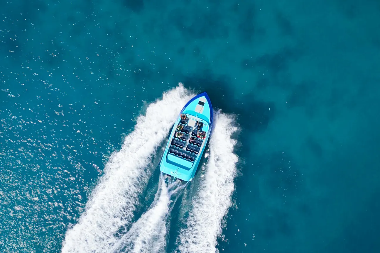 红海冒险