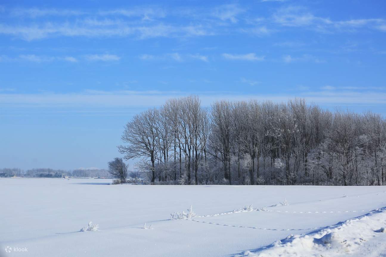 独占广阔的雪原