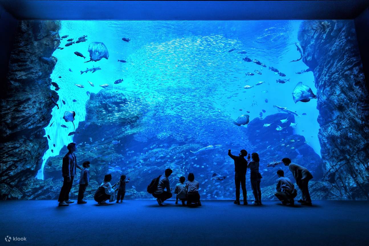 仙台海之森水族馆门票