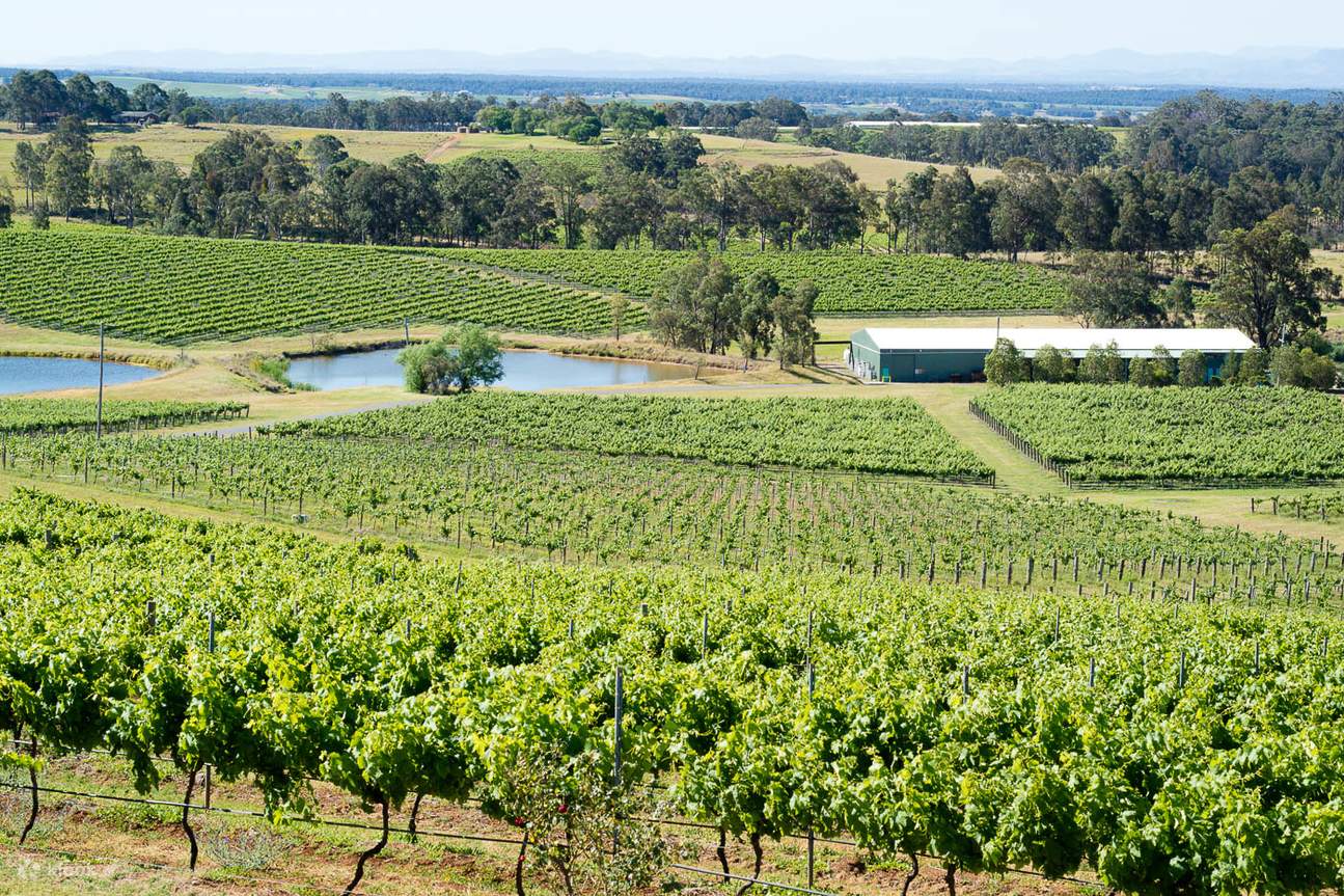 Hunter Valley Christmas Lights and Winery Tour from Sydney Klook
