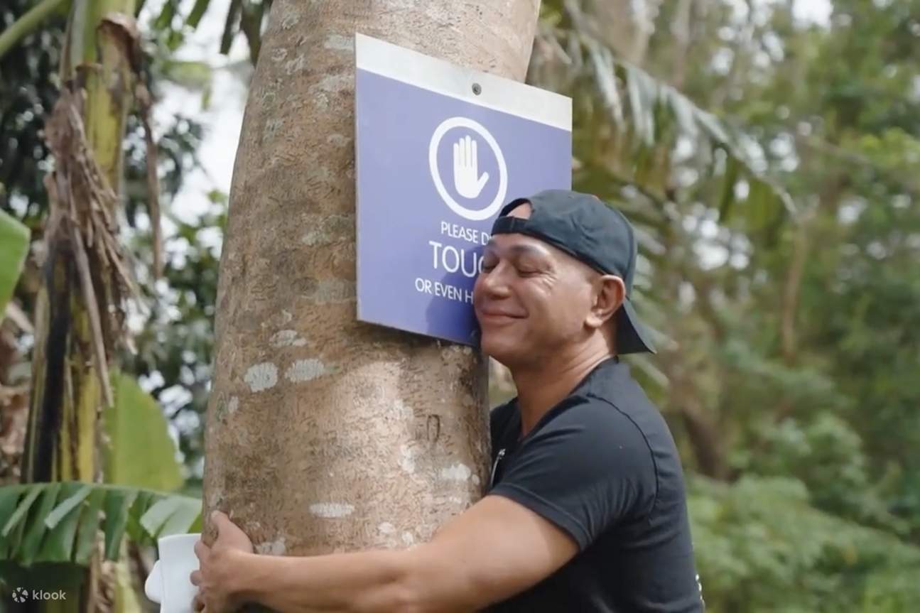 拥抱大树，感受与大自然的链接