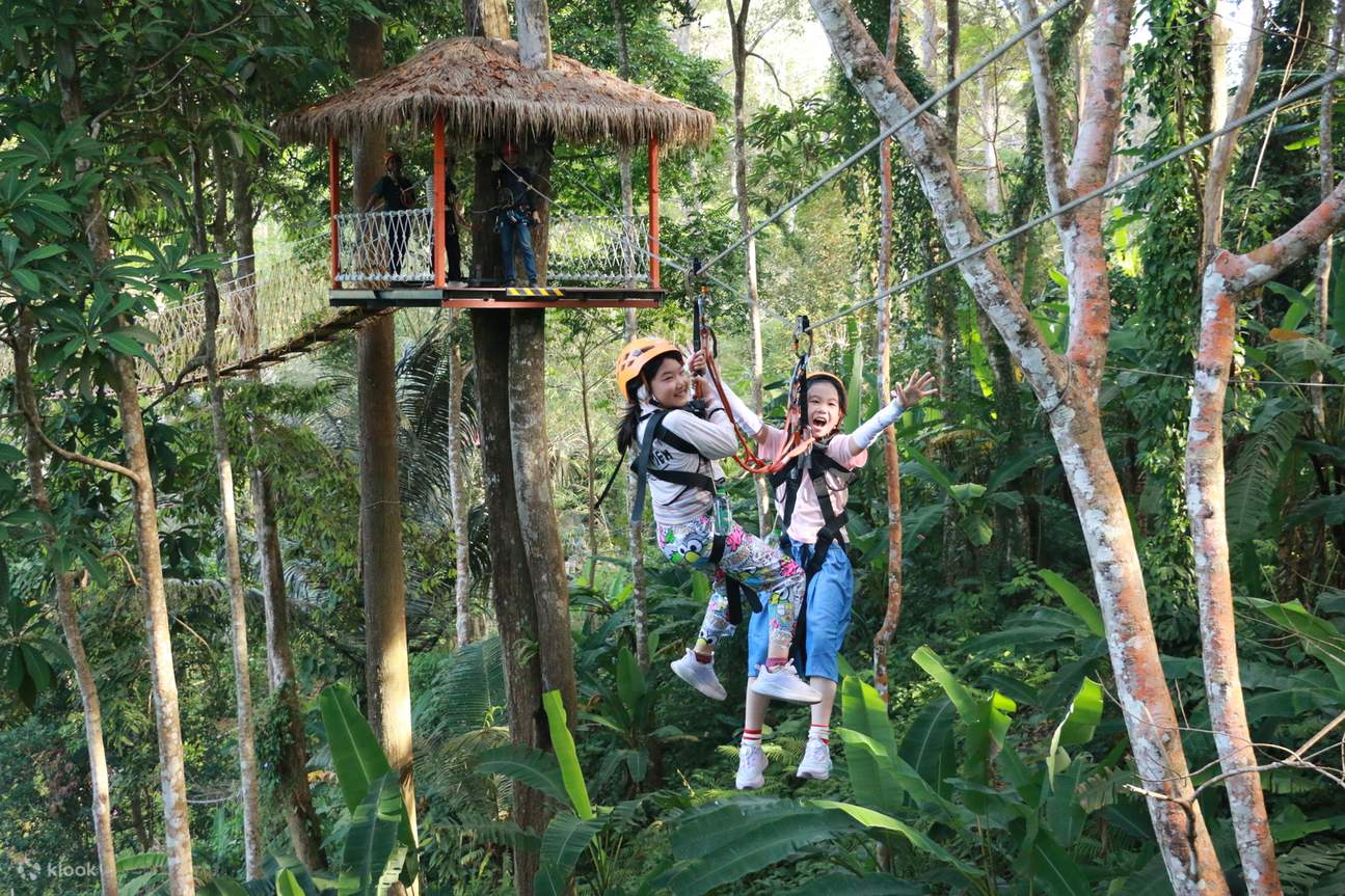 Zipline 