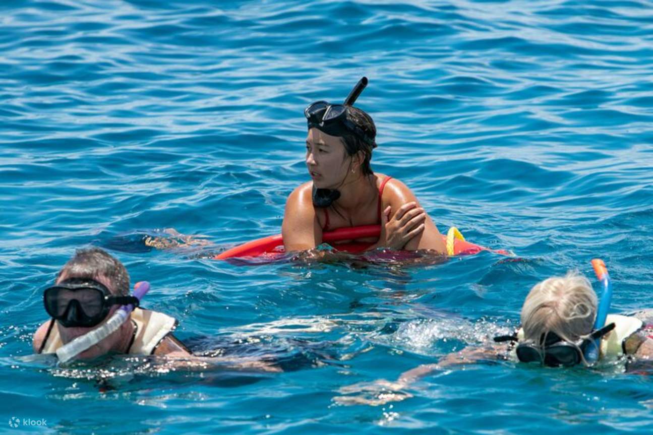 Para tetamu bersnorkel di perairan biru kehijauan Waikiki, dipandu oleh kru pakar yang mesra