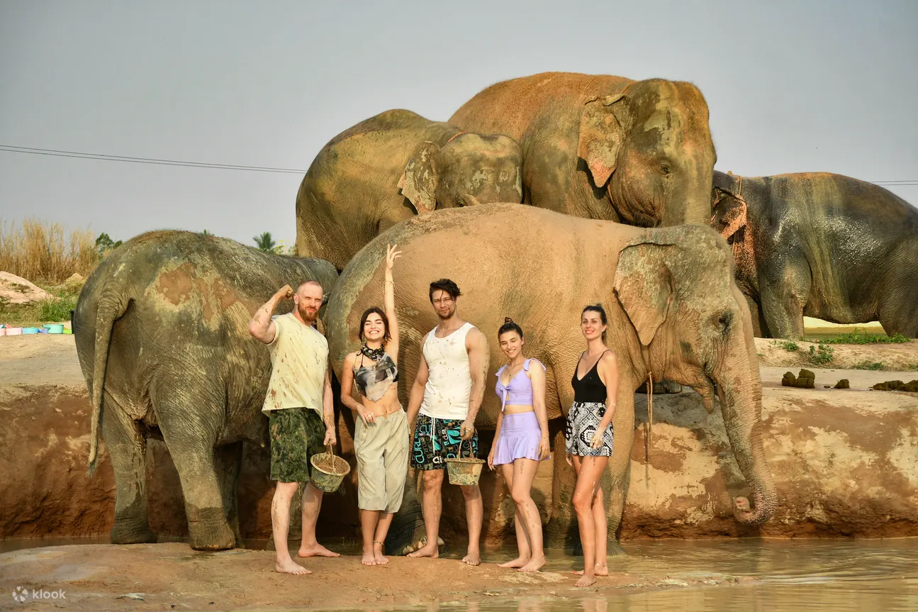 Take picture with elephant
