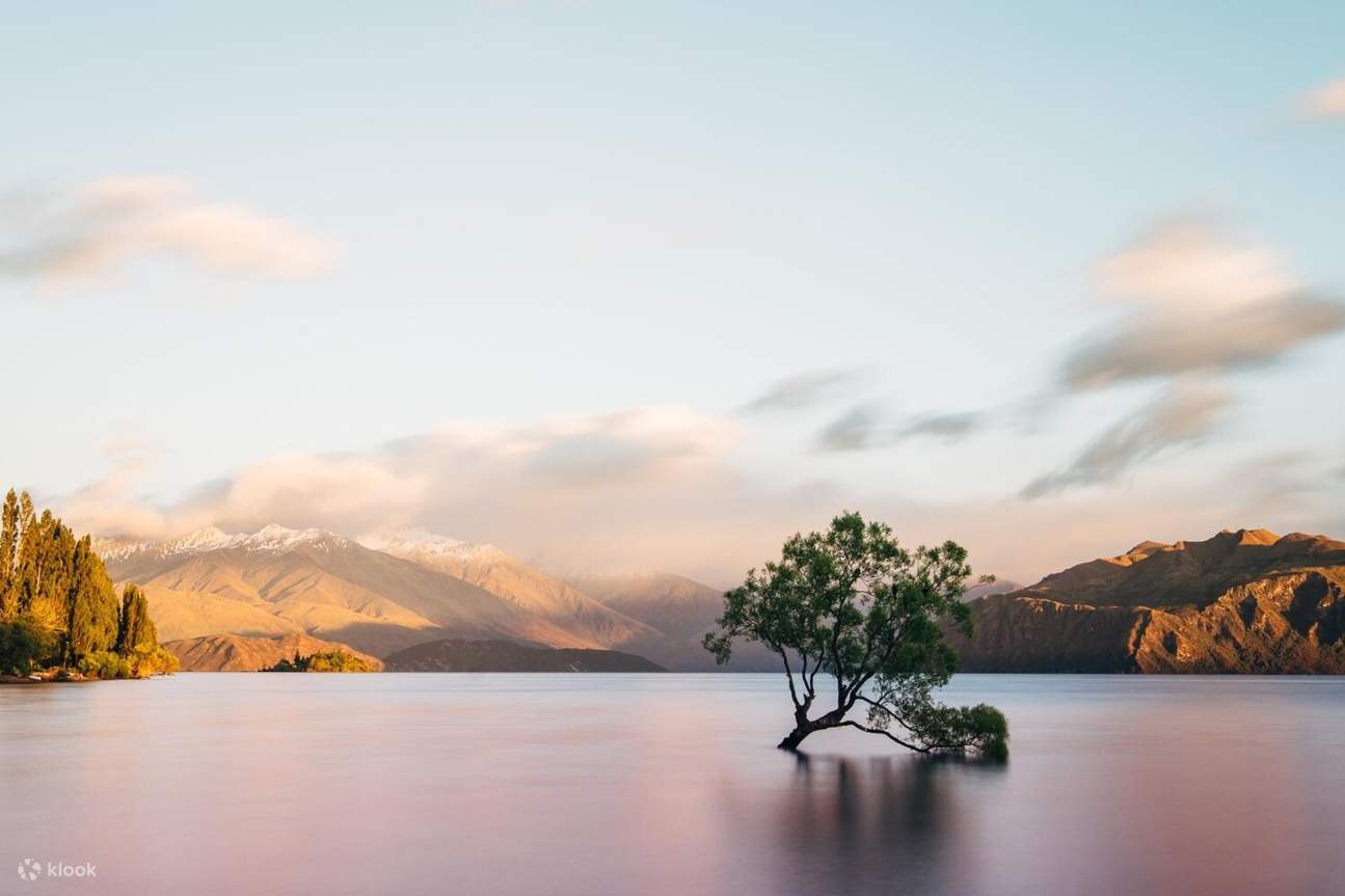 Wanaka & Fruit Town Day Tour dari Queenstown (Pemandu Tiongkok) Klook