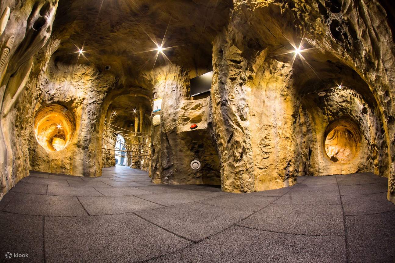 ไทรแองเกิลพลัส