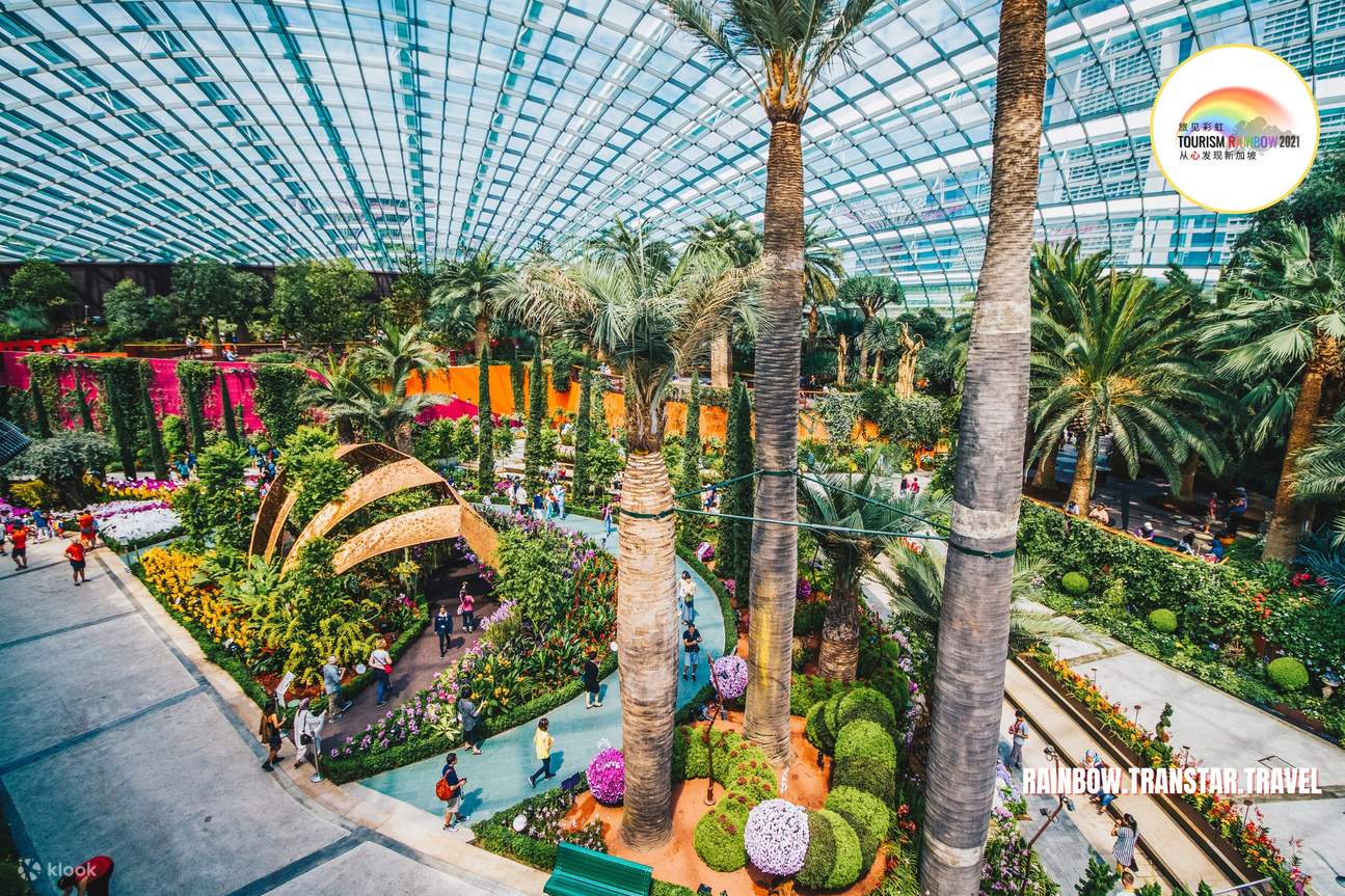 Singapore Wheelchair Friendly Half Day Gardens by the Bay with Lunch