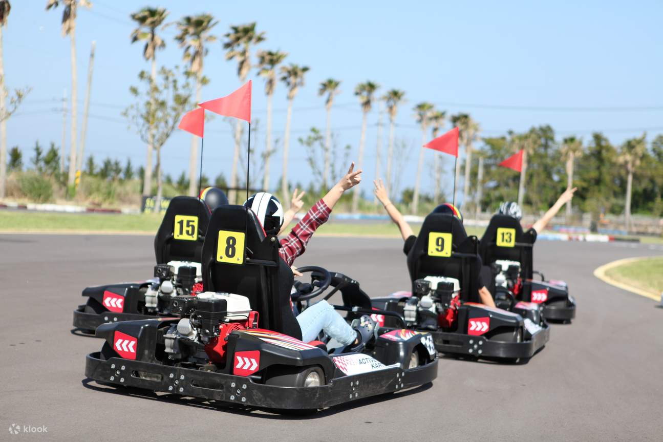 Jeju Active Park Clip n' Climb & Active Cart Ticket