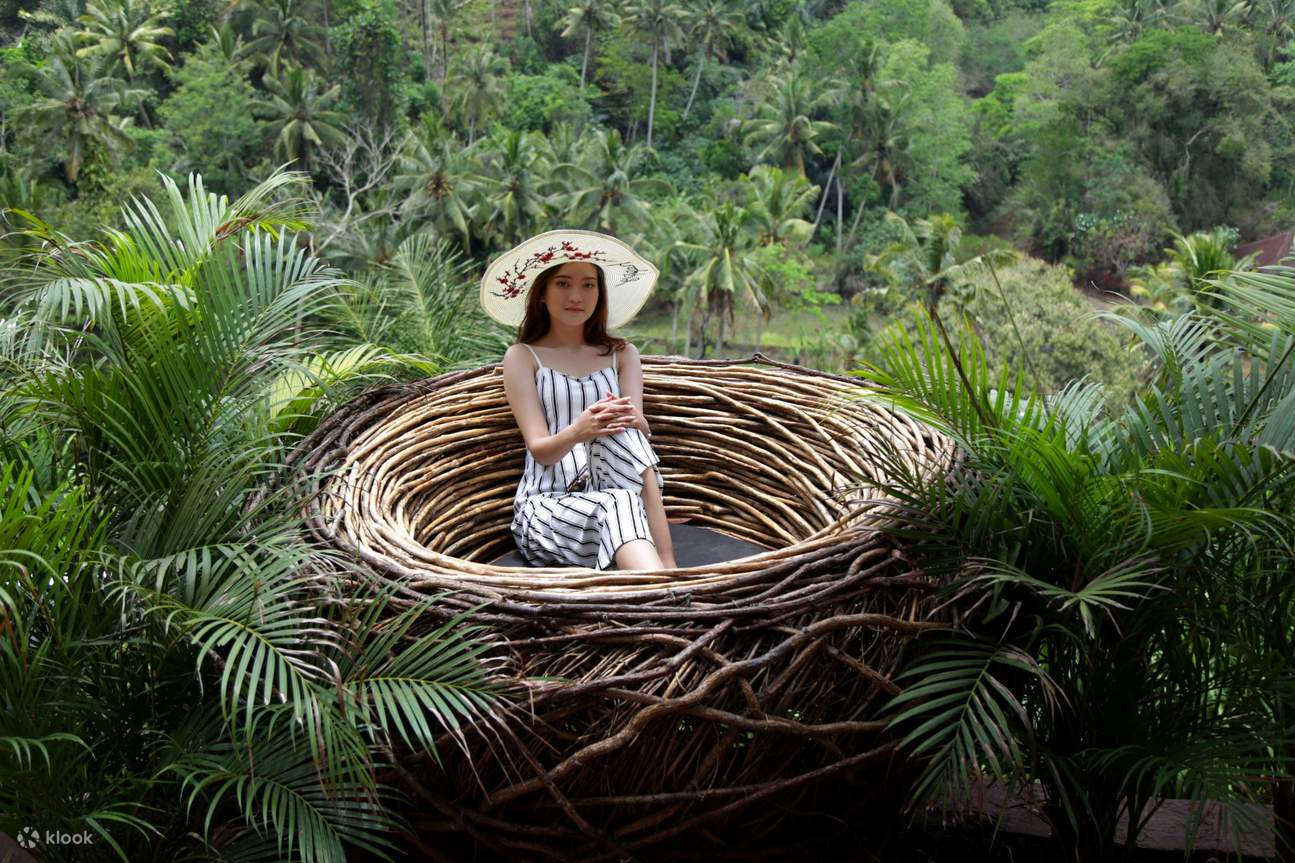Donna nel nido d'uccello, Picheaven Bali