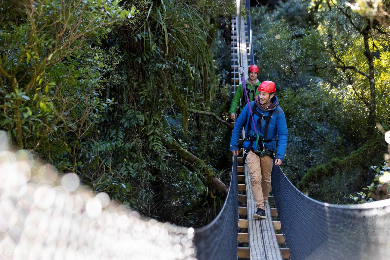 More than just ziplines! There are epic swing bridges, staircases, wildlife interactions and other surprises on this Rotorua Zipline experience with Rotorua Canopy Tours