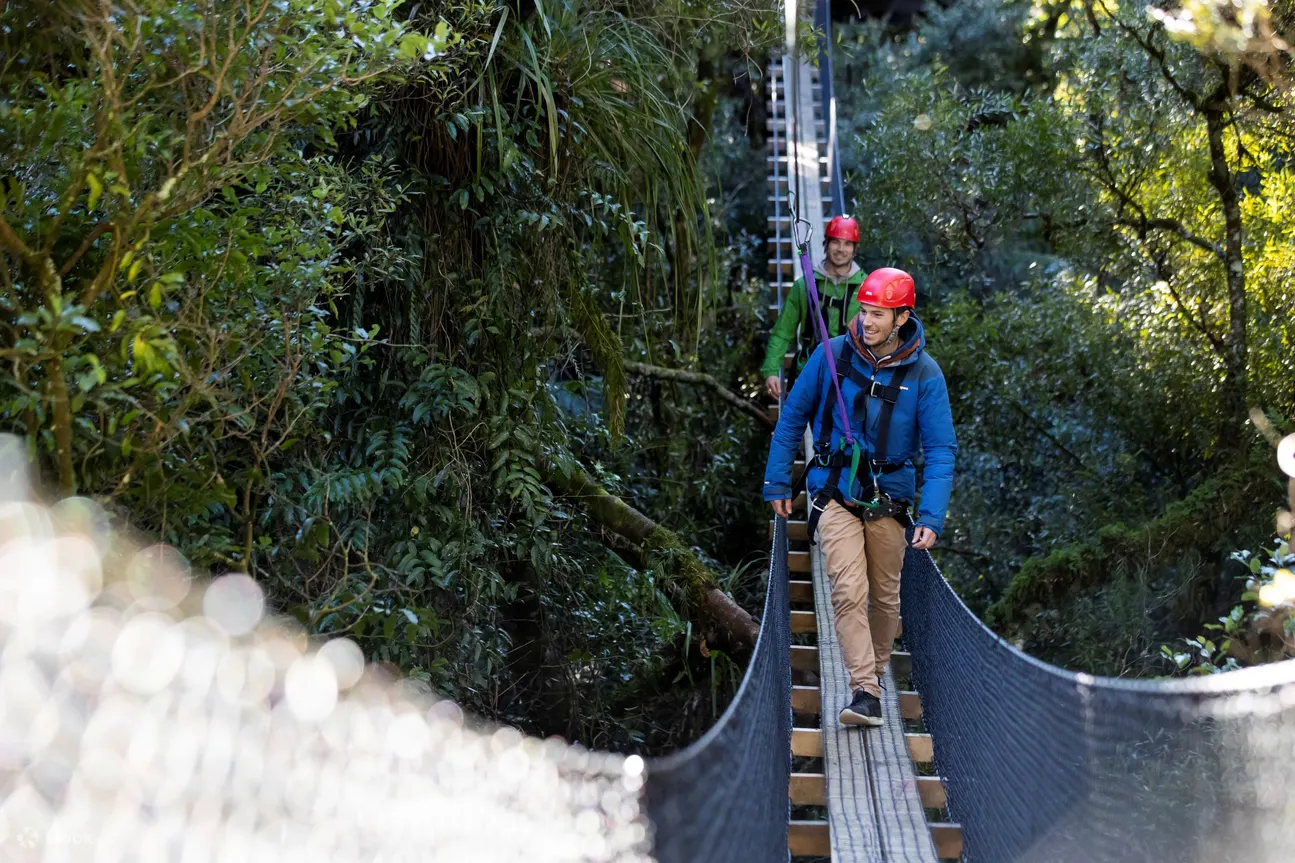 不只滑索！罗托鲁瓦树冠之旅 (Rotorua Canopy Tours) 的罗托鲁瓦滑索体验，还有惊险刺激的吊桥、阶梯、野生动物互动等惊喜。