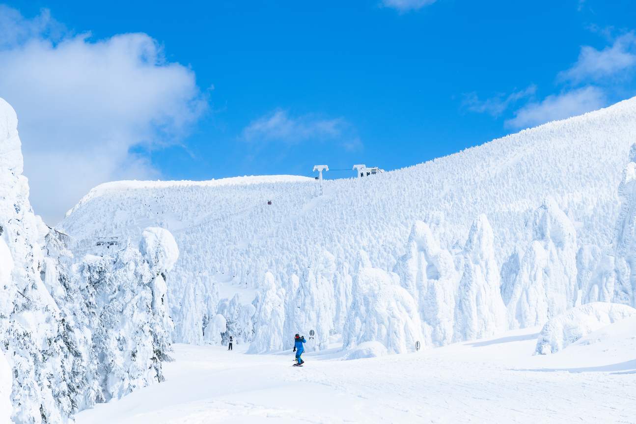 Kursus Ski Pribadi Bahasa Inggris dan Mandarin & Layanan Fotografi di Zao Onsen Ski Resort
