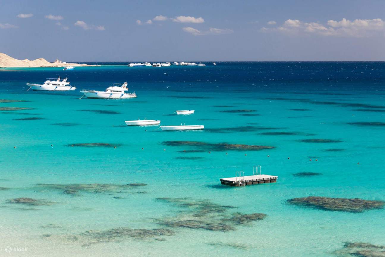 Petualangan Terpandu Setengah Hari ke Ras Mohamed dengan Bus - Sharm El Sheikh