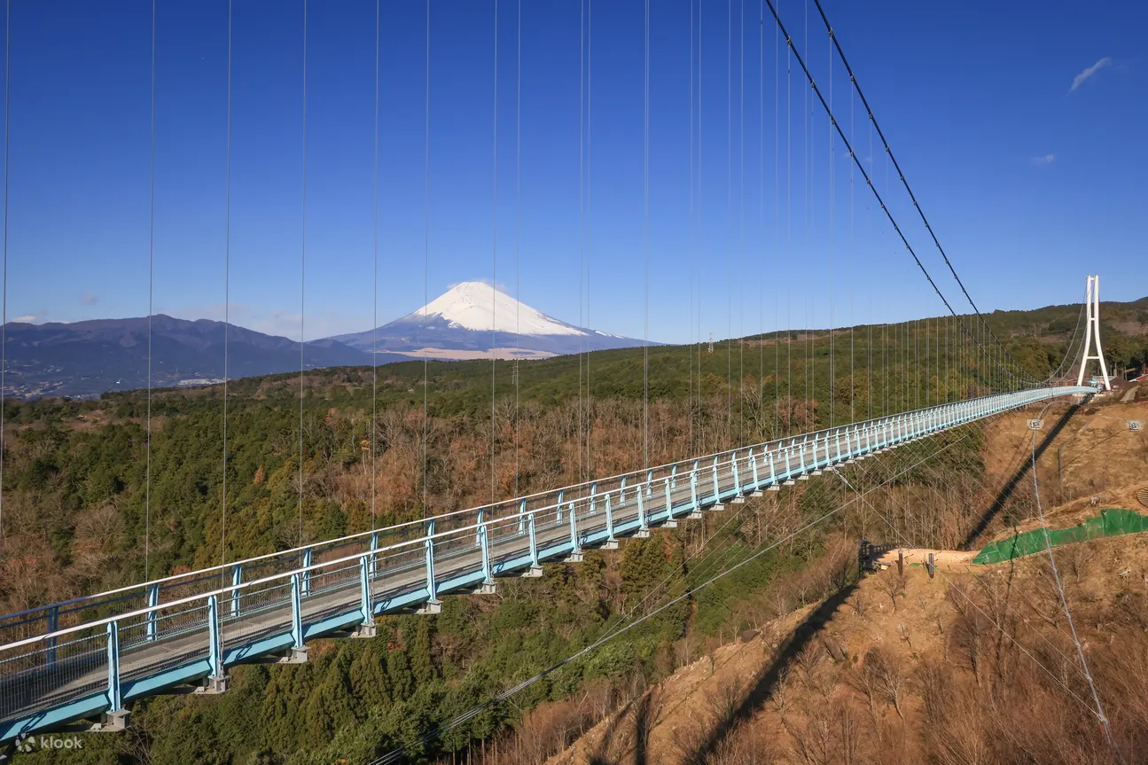 从三岛天空步道俯瞰富士山！