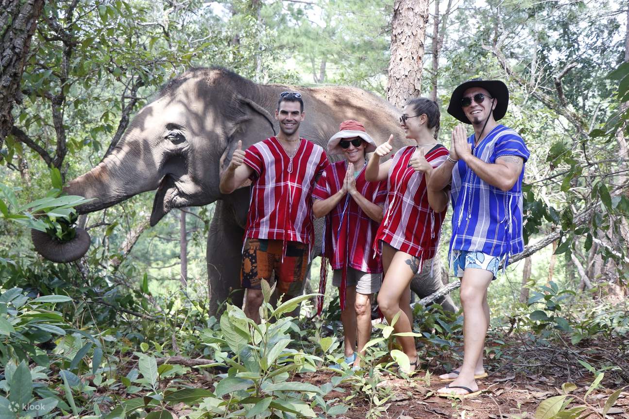 Fai amicizia con un elefante