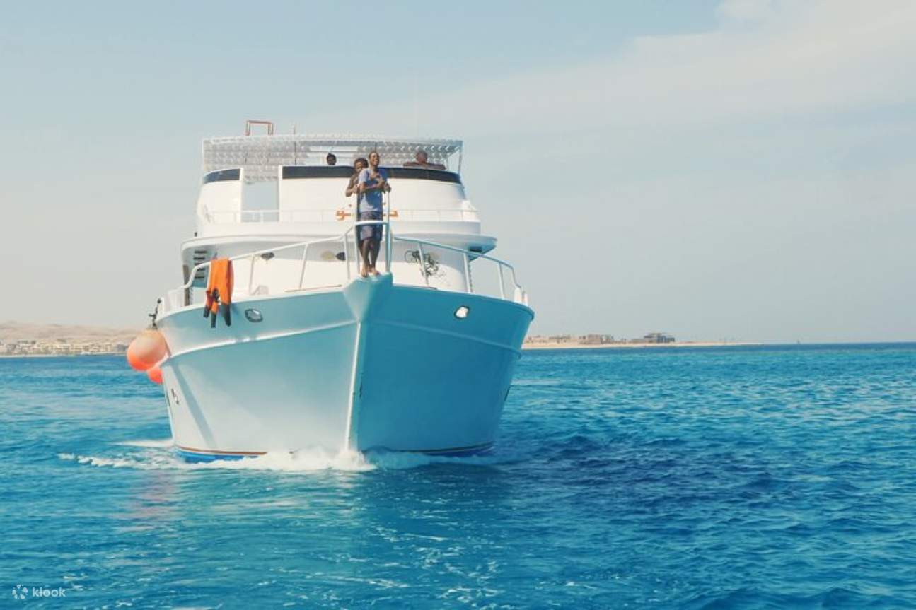 Nage avec les dauphins, excursion VIP de plongée en apnée avec déjeuner - Hurghada