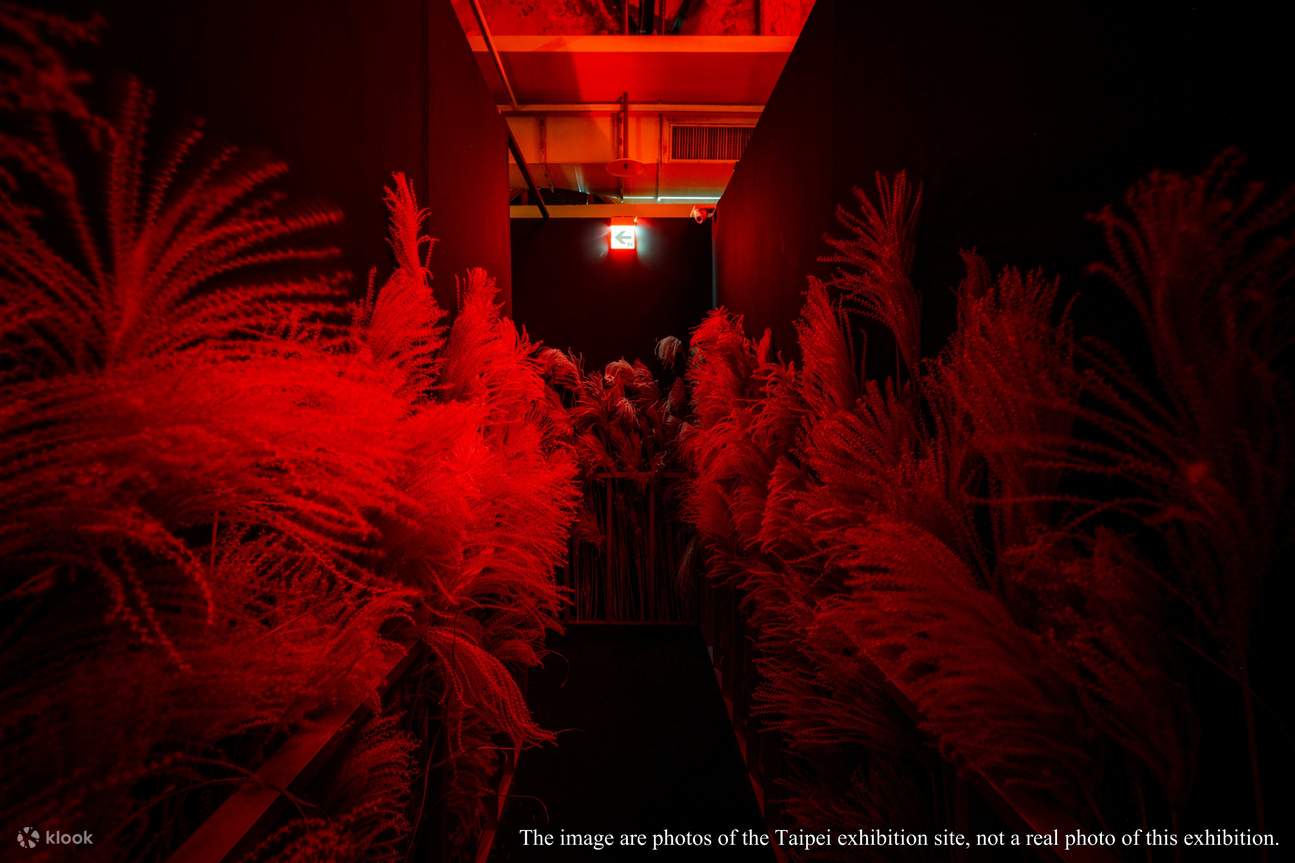 Get spooked: Junji Ito's horror house exhibition ready to haunt Kuala  Lumpur