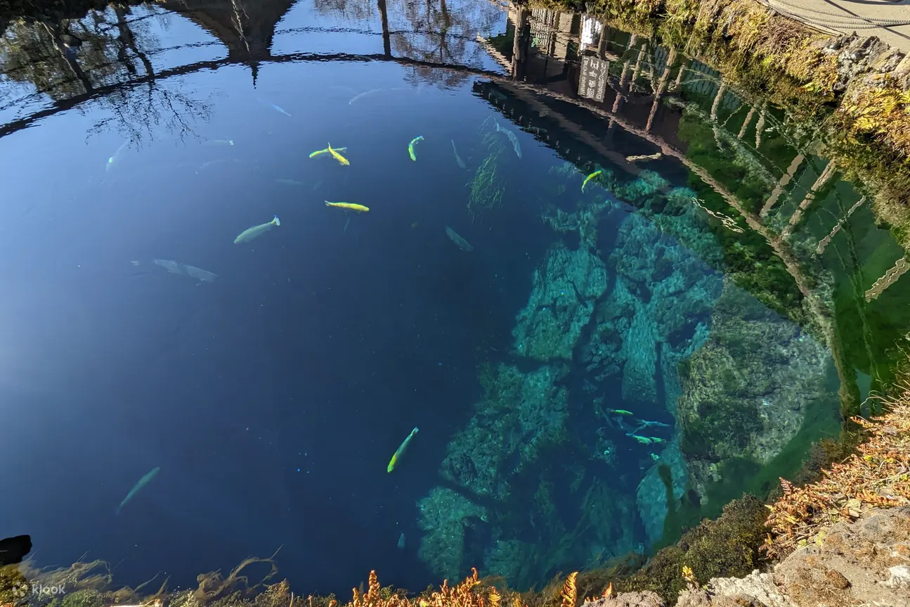 忍野八海湖