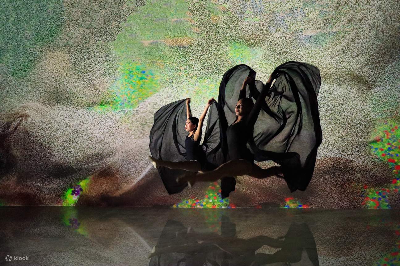 Un museo: Biglietto per l'Immersive Art Universe a Manila